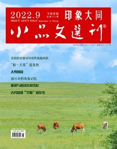 小品文选刊·印象大同