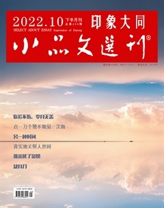 小品文选刊·印象大同