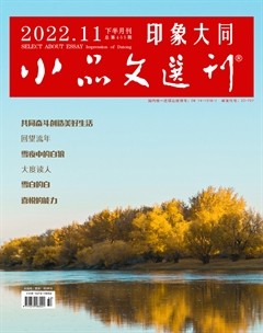 小品文选刊·印象大同