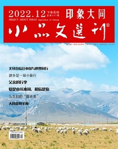 小品文选刊·印象大同