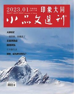 小品文选刊·印象大同