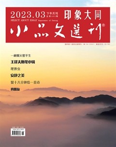 小品文选刊·印象大同