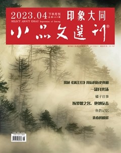 小品文选刊·印象大同