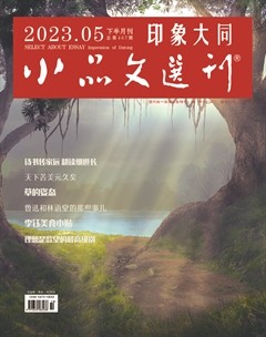 小品文选刊·印象大同