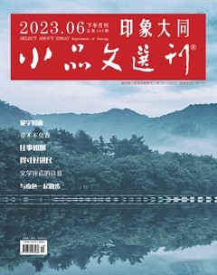 小品文选刊·印象大同