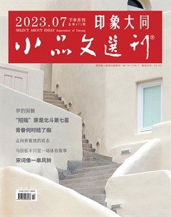 小品文选刊·印象大同