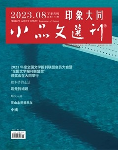 小品文选刊·印象大同