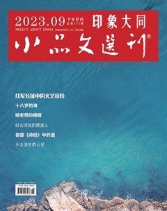 小品文选刊·印象大同