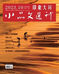 小品文选刊·印象大同