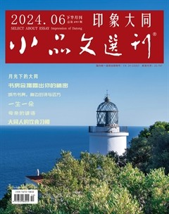 小品文選刊·印象大同