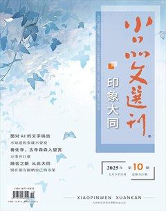 小品文选刊·印象大同
