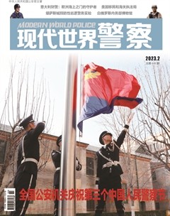 现代世界警察