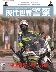 現(xiàn)代世界警察