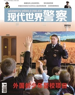 現(xiàn)代世界警察