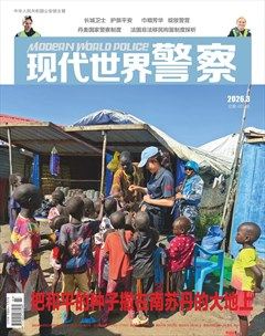 现代世界警察