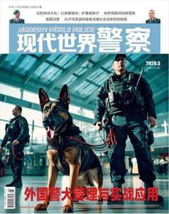 现代世界警察