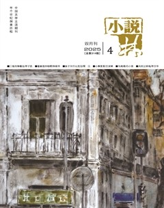 小说林