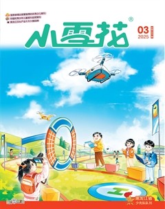 2025年第3期