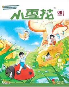 小雪花·成长指南