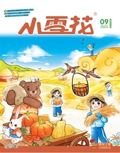 小雪花·成长指南