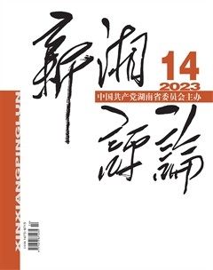 新湘评论