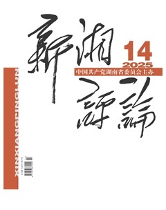 新湘评论
