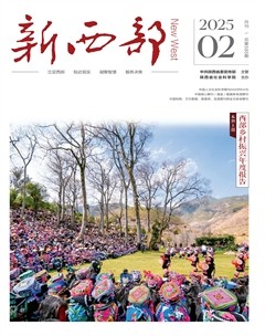 新西部