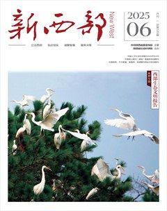 新西部