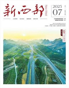 新西部