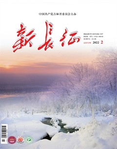 新长征