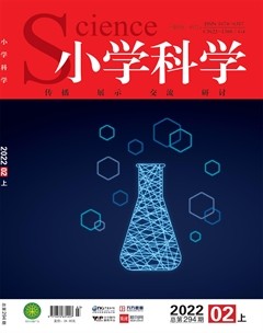 小学科学
