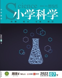 小学科学