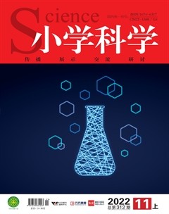 小學科學