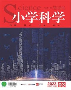 小学科学