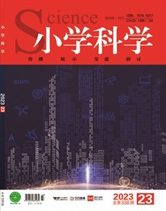小学科学