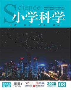 小学科学