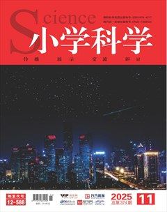 小学科学