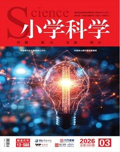 小学科学