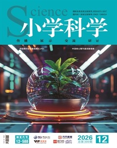 小学科学