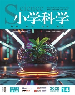 小学科学