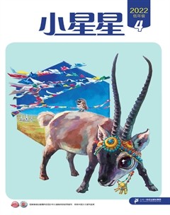 小星星·閱讀100分(低年級)