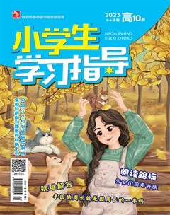 小学生学习指导·高年级
