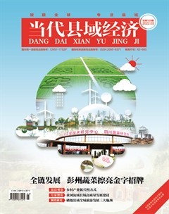 当代县域经济