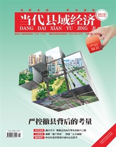 当代县域经济