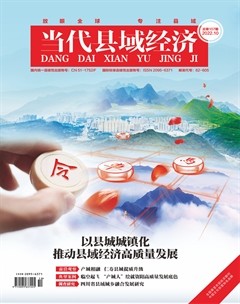 当代县域经济