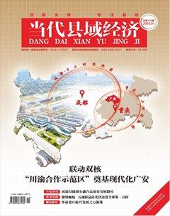 当代县域经济