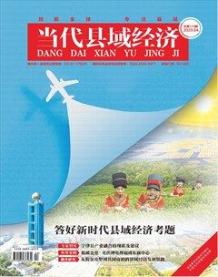 当代县域经济