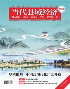 当代县域经济