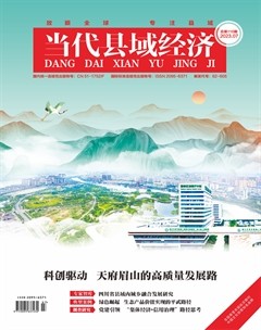 当代县域经济