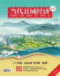 当代县域经济